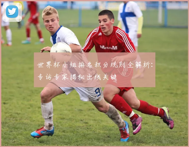 世界杯小组排名积分规则全解析：专访专家揭秘出线关键