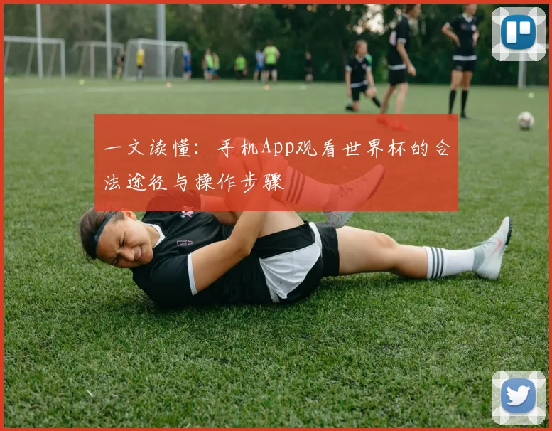 一文读懂：手机App观看世界杯的合法途径与操作步骤